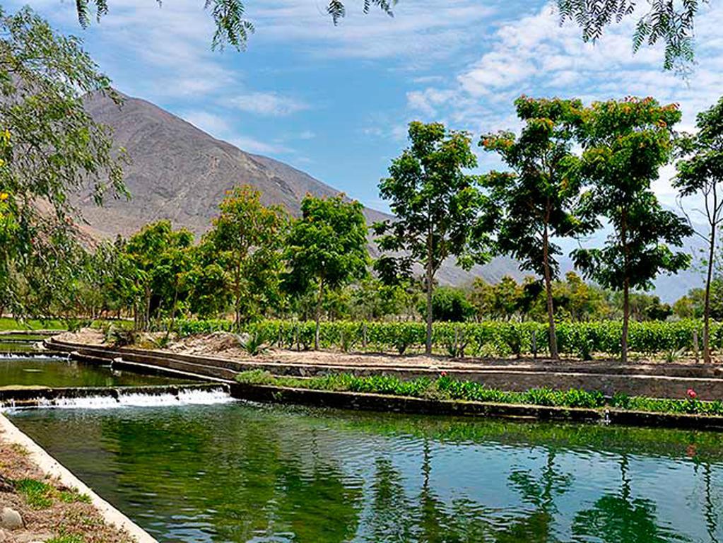 Guizado Portillo Hacienda & Resort Лунауана Экстерьер фото