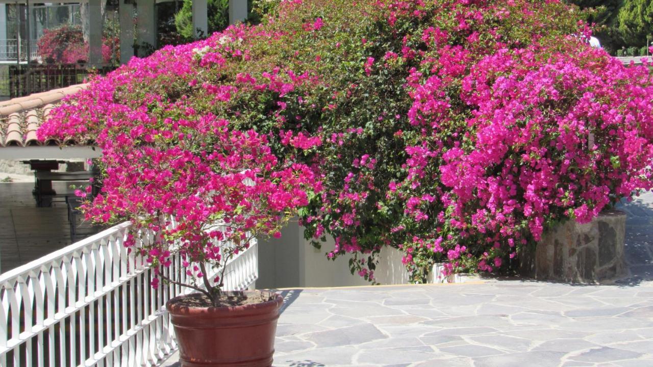 Guizado Portillo Hacienda & Resort Лунауана Экстерьер фото